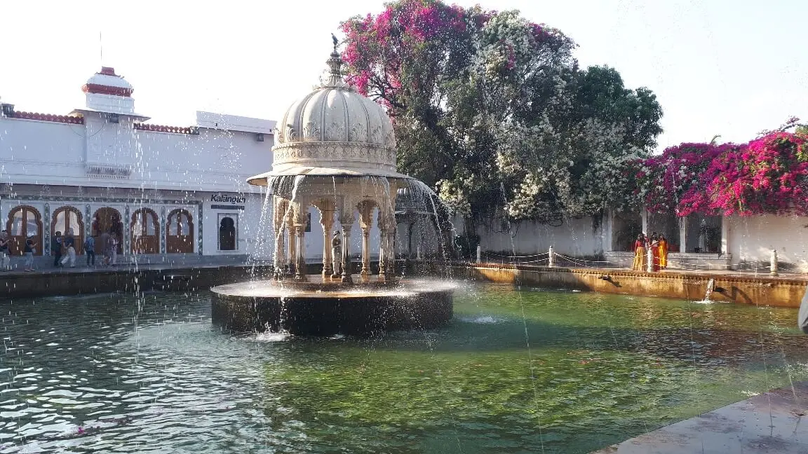 Taj, Tigers Rajasthan