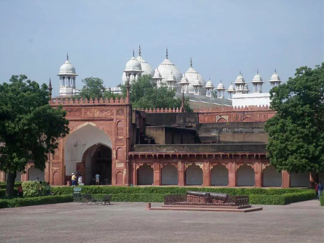 Taj, Tigers Rajasthan
