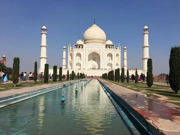 Taj, Tigers Rajasthan